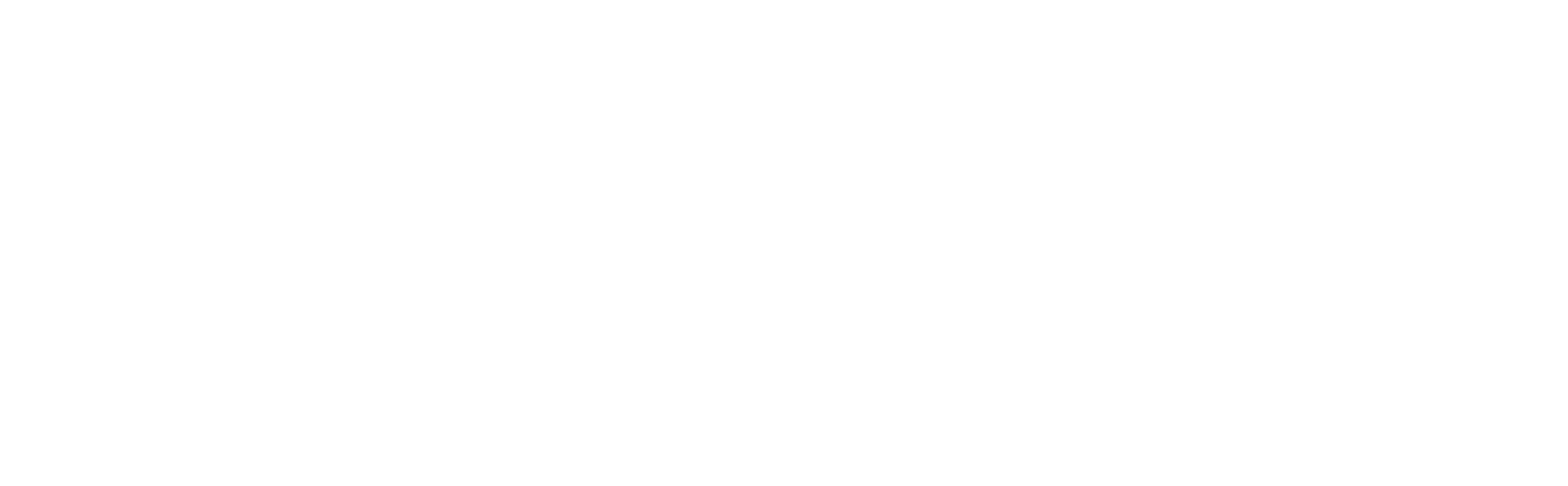 iGovTT logo